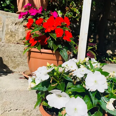 Apartman More * Mošćenička Draga